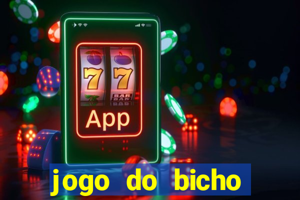 jogo do bicho crash bingo